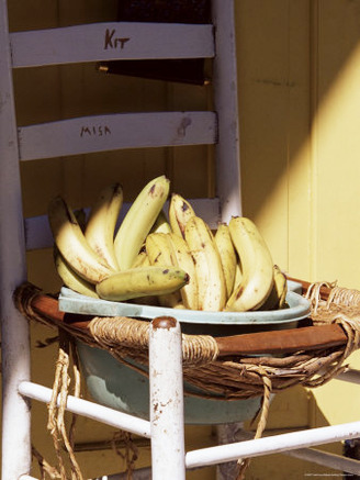 Bananas, St. Lucia, Windward Islands, West Indies, Caribbean, Central America
